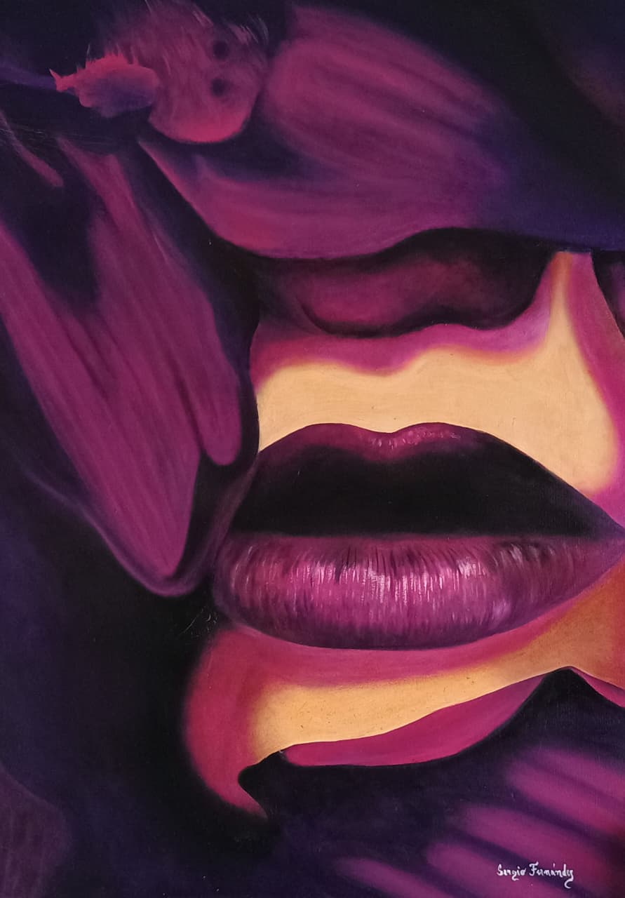 TIMIDEZ, obra de Sergio Fernandez